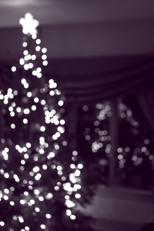 2009 12 23 IMG 5200